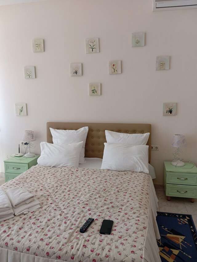 Гостевой дом Анири Саки-15